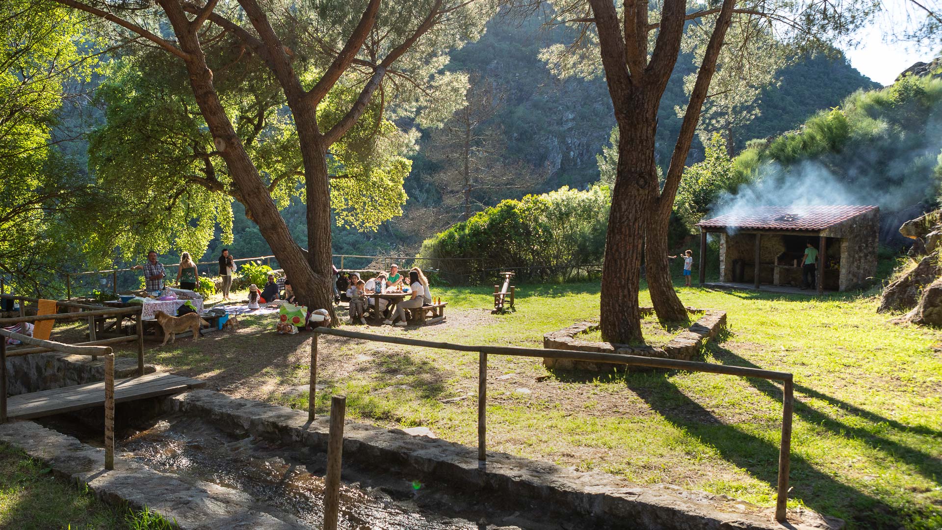 Uma experiência a partilhar